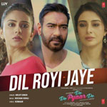 Dil Royi Jaye - De De Pyaar De Mp3 Song